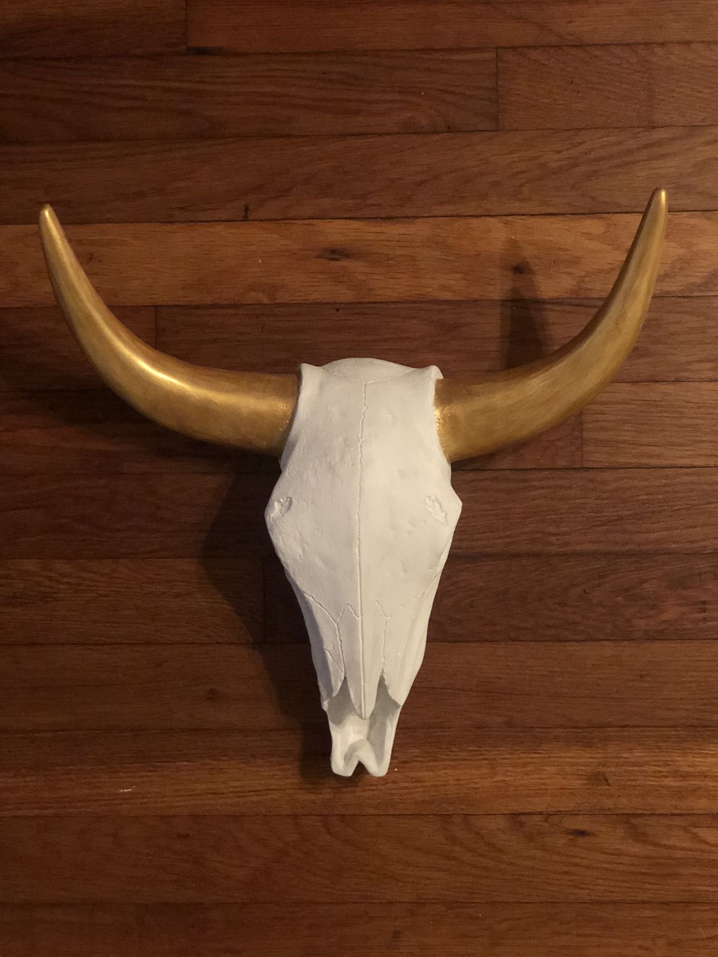 White + Gold (fake) Cow Skull Wall Decor