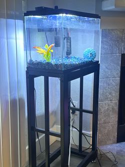 10 inch Fish tank