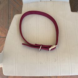 Strong Big Dog Collar, $ 5.00.