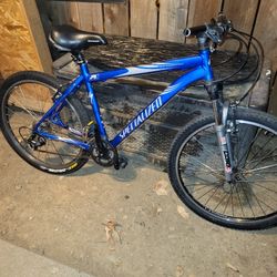 Specialized Rockhopper Mountain Bike