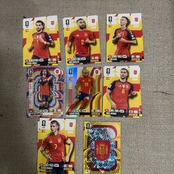 Panini adrenalyn XL WC 26 Cards Spain
