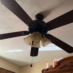 Abanico De Techo Color Cafe$30.00