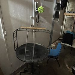 Parrot perch stand