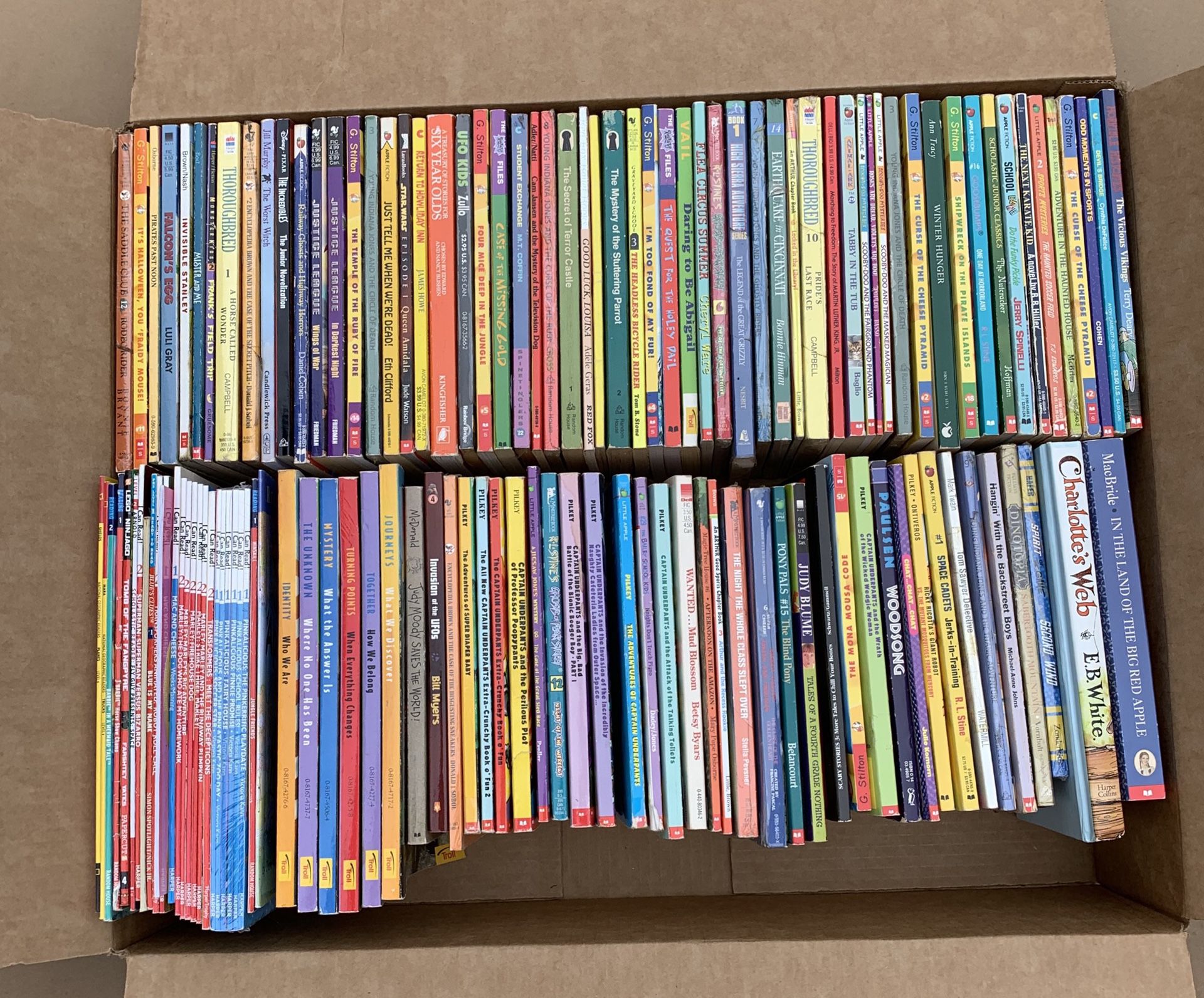 137 Kids books, Bernstein Bears, Geronimo Stilton, Judy Blume, Early Readers, Captain Underpants, and many more