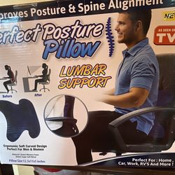 NEW Perfect Posture Pillow Lumbar Support As Seen On Tv