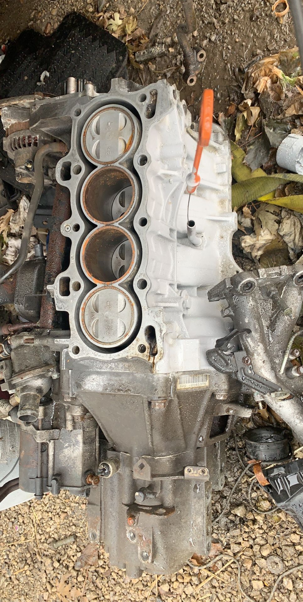 Honda D15b7 block and trans