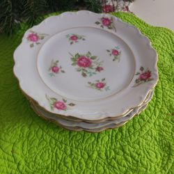 Shabbychic Farmhouse plates Moss Rose 
by Winterling - Bavaria