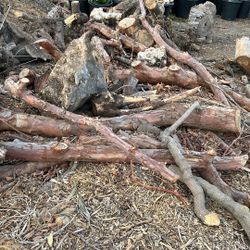 Firewood, big logs