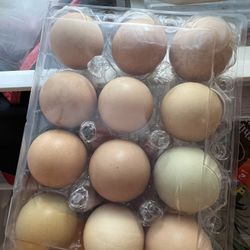 Farm Fresh Eggs