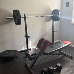 Gym Weights & Bench 