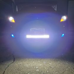 LEDS