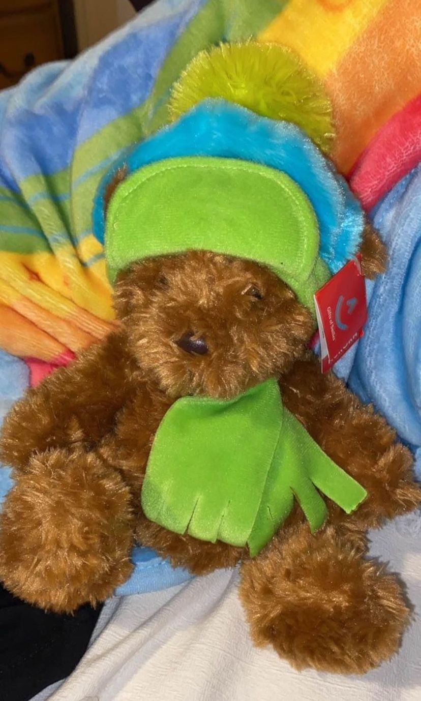 Aurora winter teddy bear plush