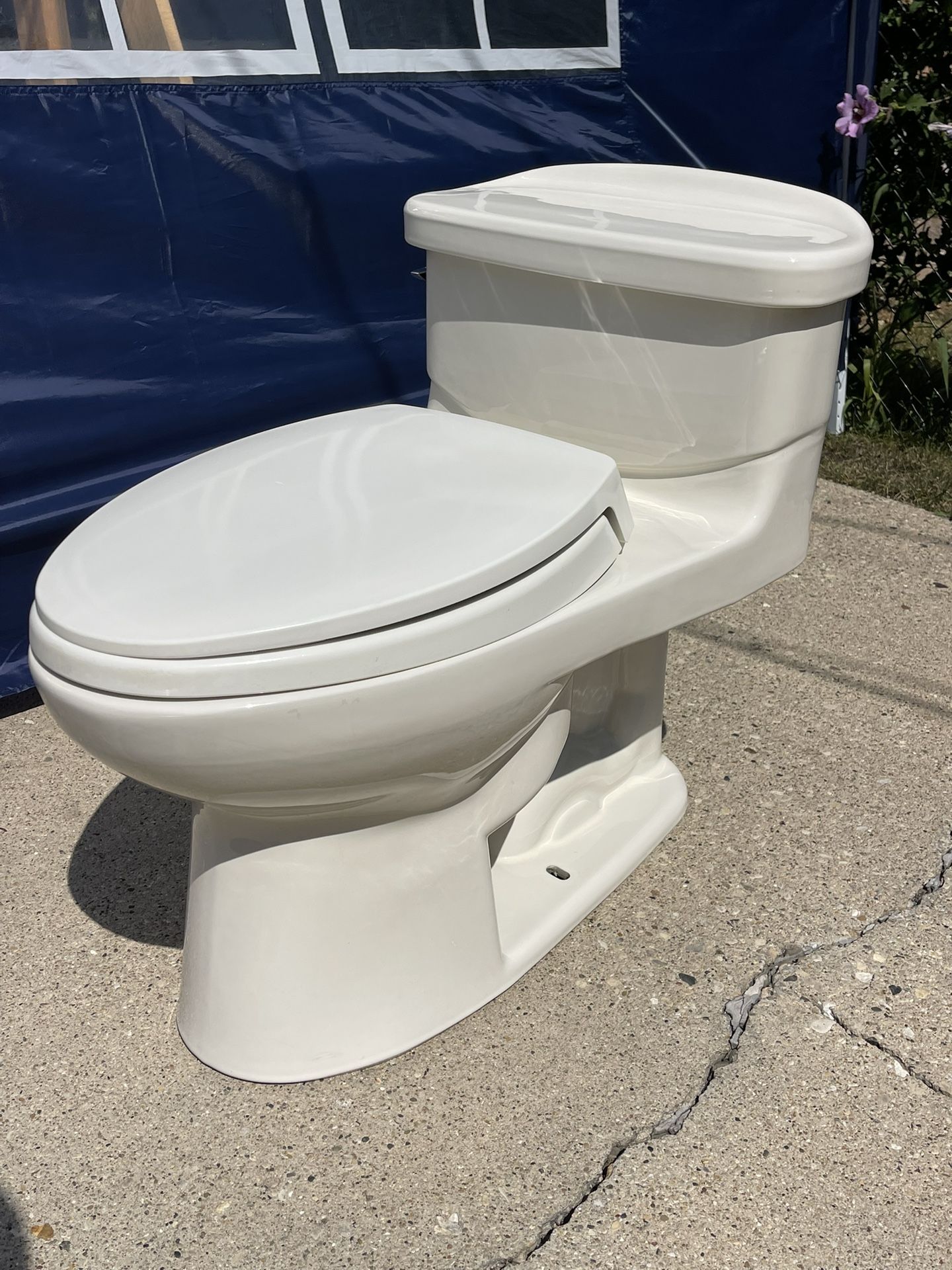 TOTO toilet