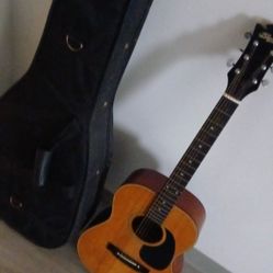 D'Agostino Collector's Guitar With Guitar Case