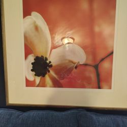 A BEAUTIFUL WORK OF ART FLOWER PICTURE 