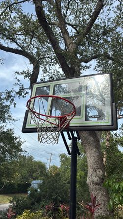 Basketball goal need gone