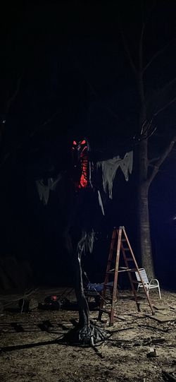 15 ft. Grave & Bones Giant-Sized Animated LED Gally-Crow