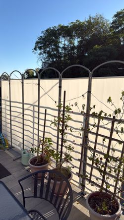 Privacy screen