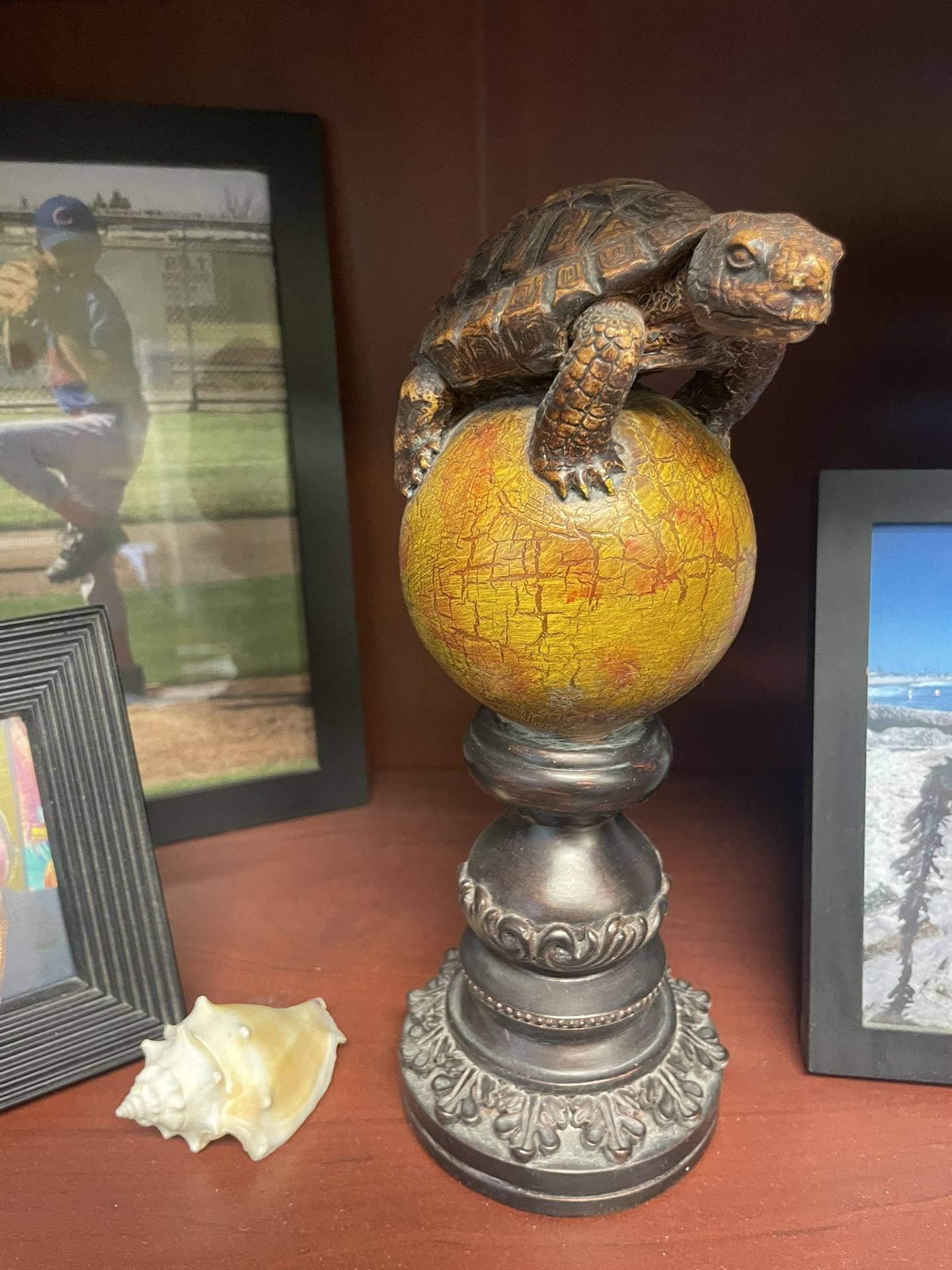 Turtle decor