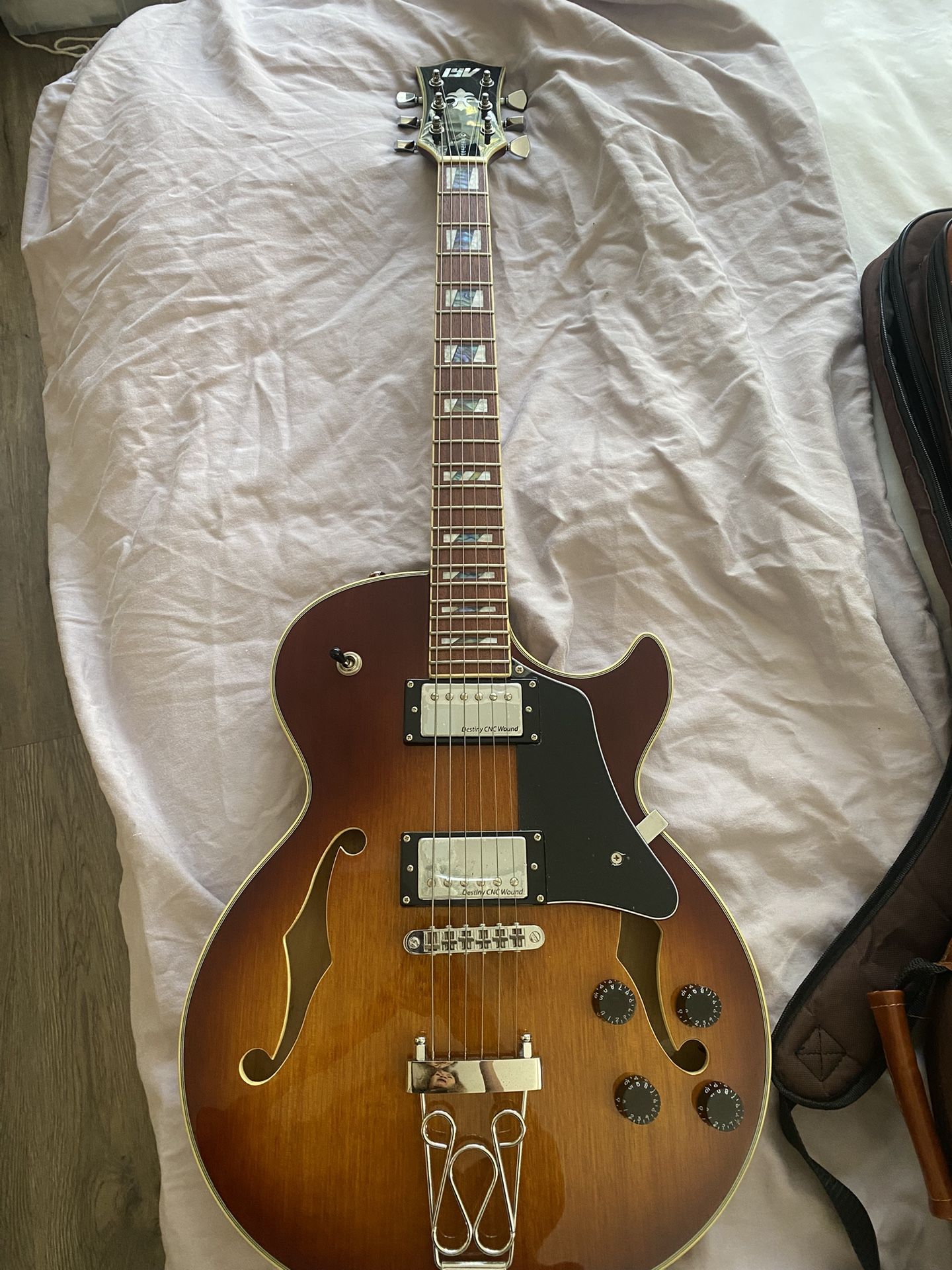 Beautiful Electric Guitar