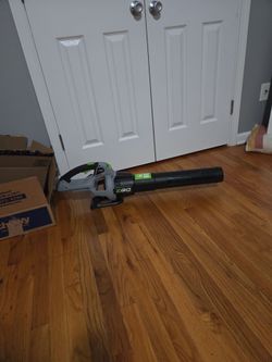 Leaf blower