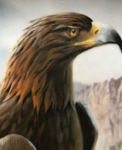 Nature Lovers - Golden Eagle - Porcelain Plate