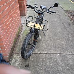 29" E-Bike Rad power bike