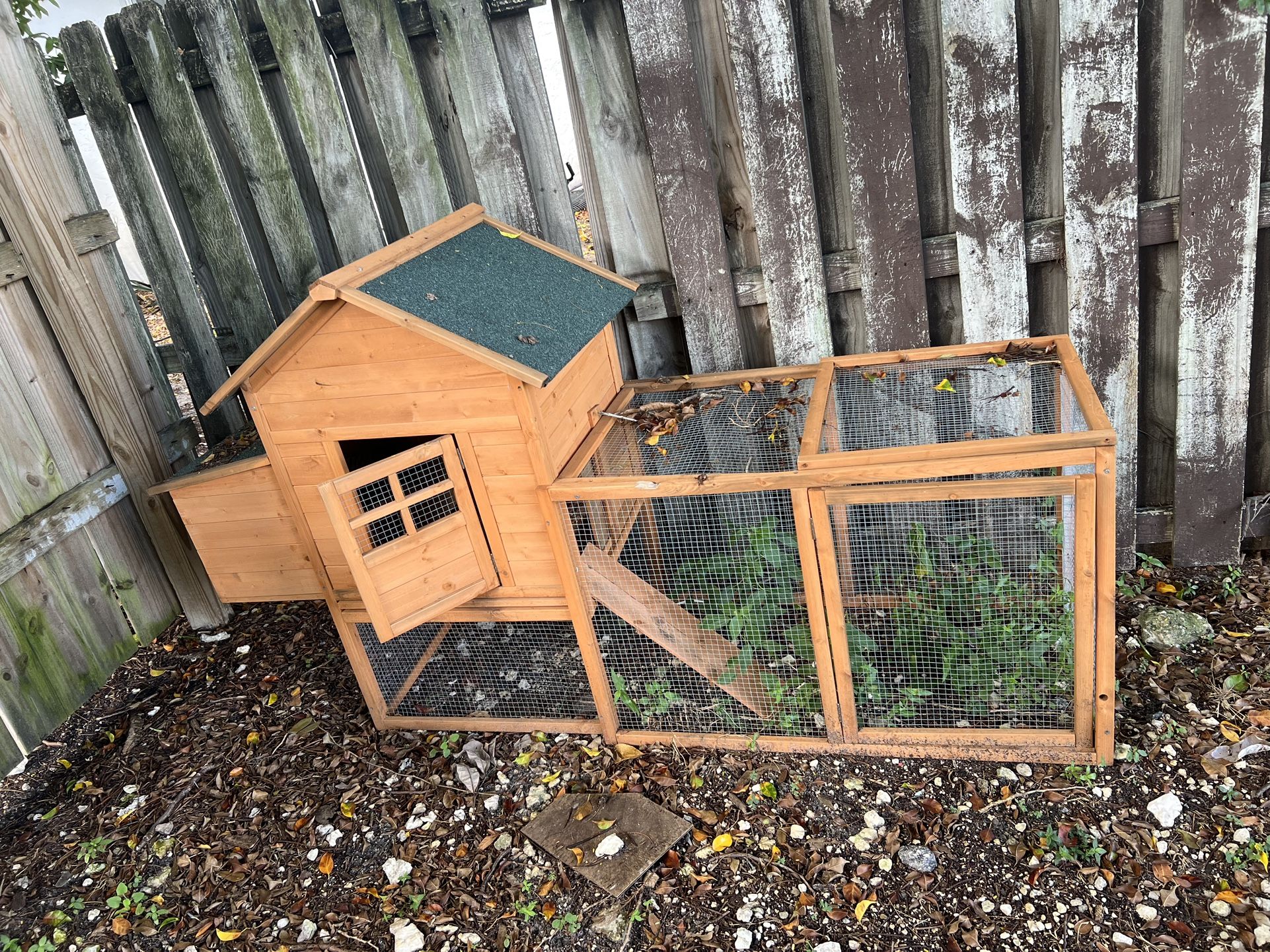 Chicken Coup