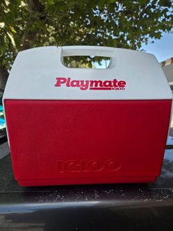 Igloo cooler