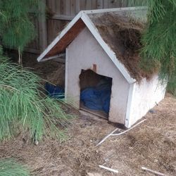 Free Dog House