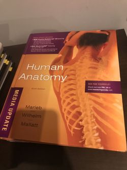 Human anatomy text book Marieb wilhelm mallatt