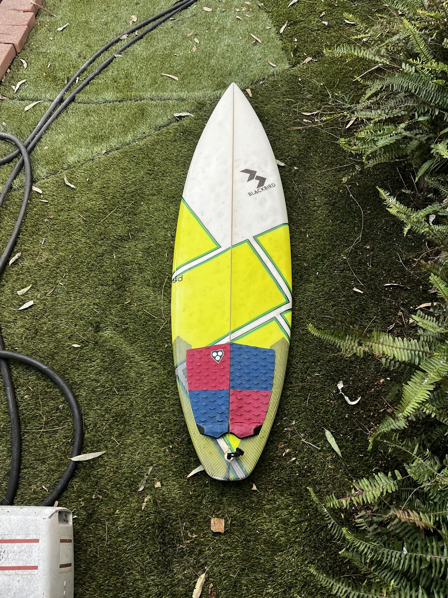 5’6” Blackbird Shortboard
