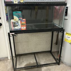 40 Gallon Aquarium