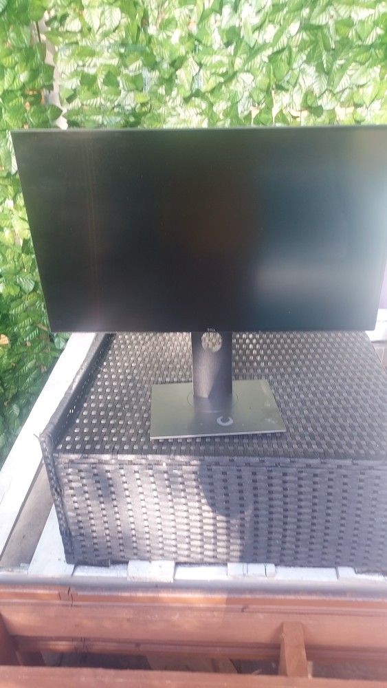 Dell Monitor