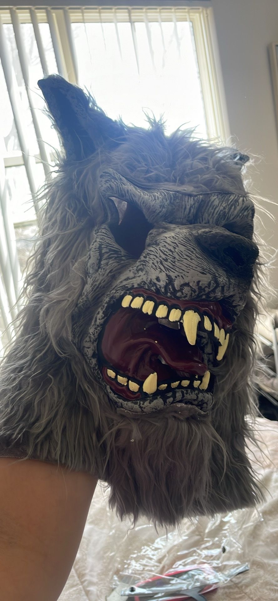 Kids halloween costume - werewolf