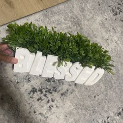 House Plant (artificial)