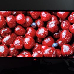 ASUS OLED Gaming Monitor – 240Hz – Like New