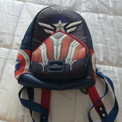 Disney Park Bags