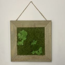 Moss Wall Art Hanging