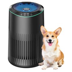 Brand: MERONTE Air Purifiers for Bedroom Home, Air Purifier for Smoke Odors with Fragrance Sponge, Small Air Purifier with Sleep Mode for Bedroom Offi