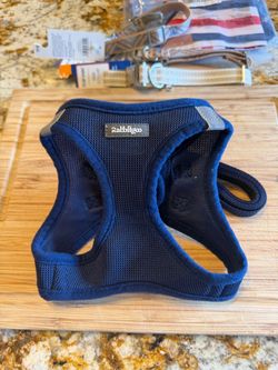 Blue dog harness & leash combo