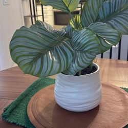 allen + roth  19.5-in Green Indoor/Outdoor Desktop Calathea Artificial potted plant
