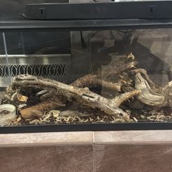 20 Gallon Reptile Tank