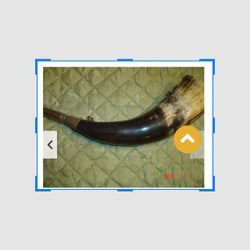 Antique Blowing Cow Horn Made In Brazil