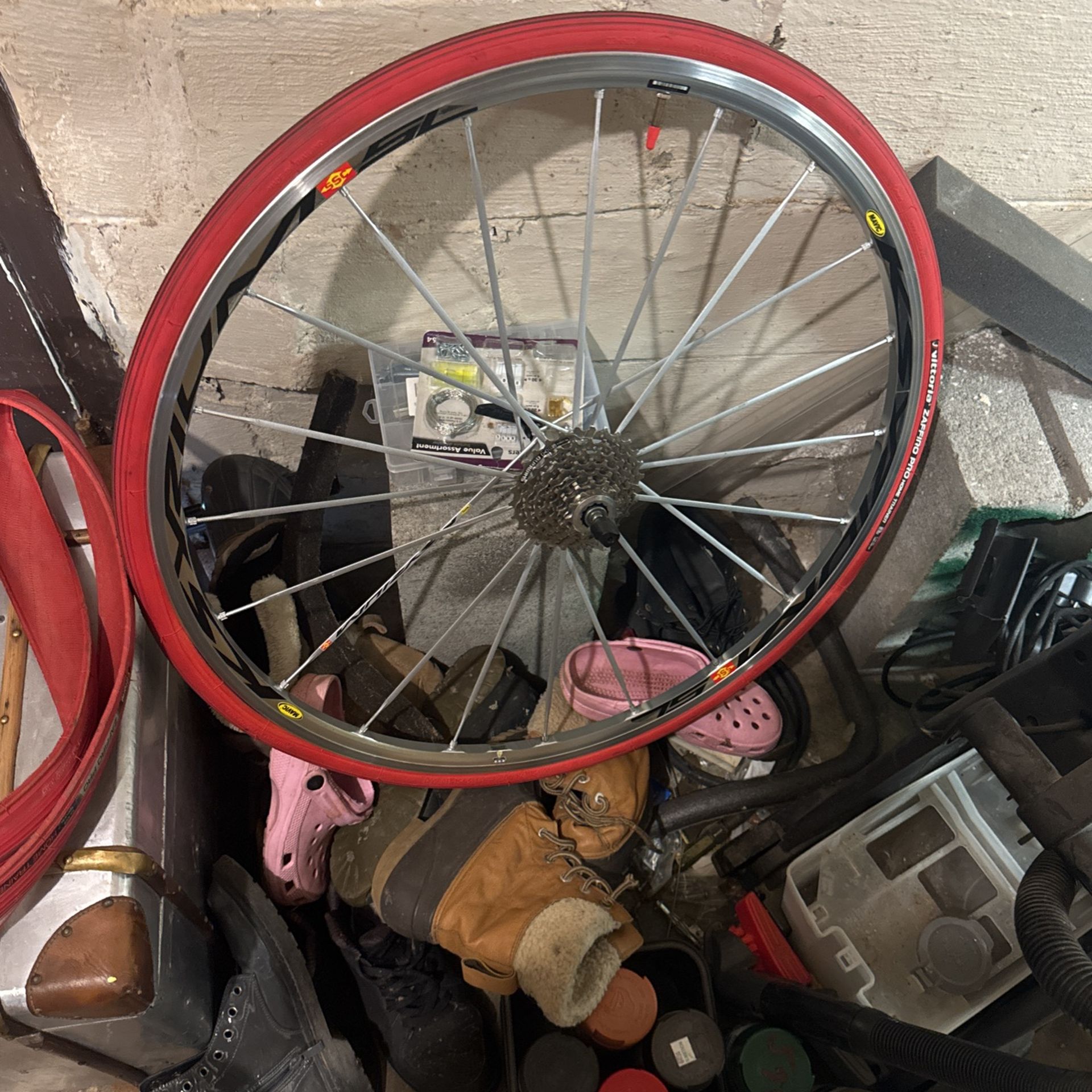 Bike Rims