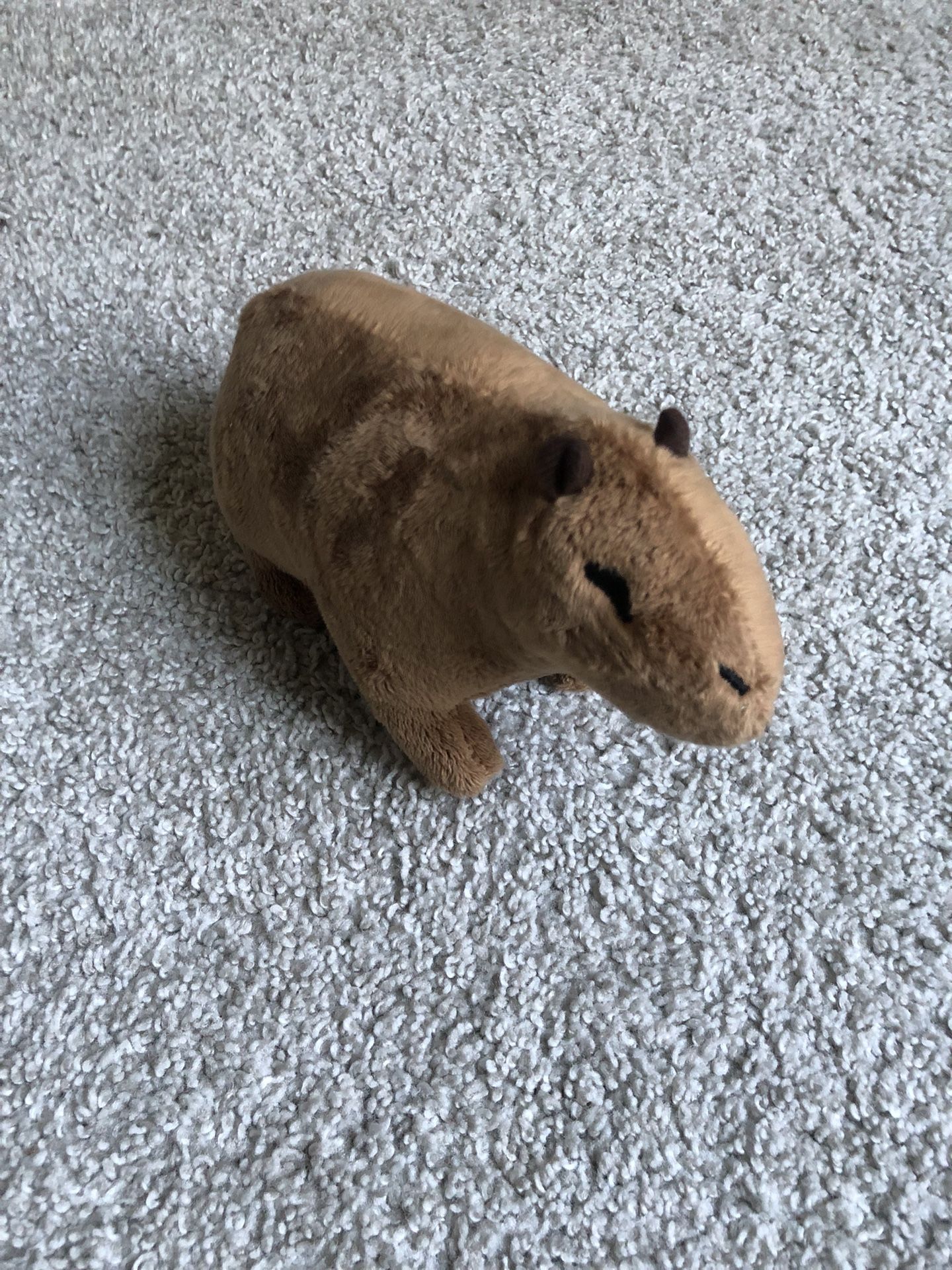 Capybara Plush - Cute & Soft!