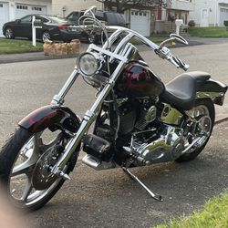 19999 Hawley Davison Softail 