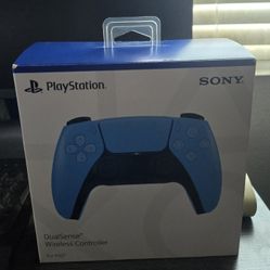 PlayStation 5 Remote