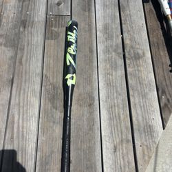 Softball Ball Bat Demarini Zenith -13