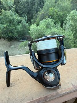 Daiwa Presso LT1000-p